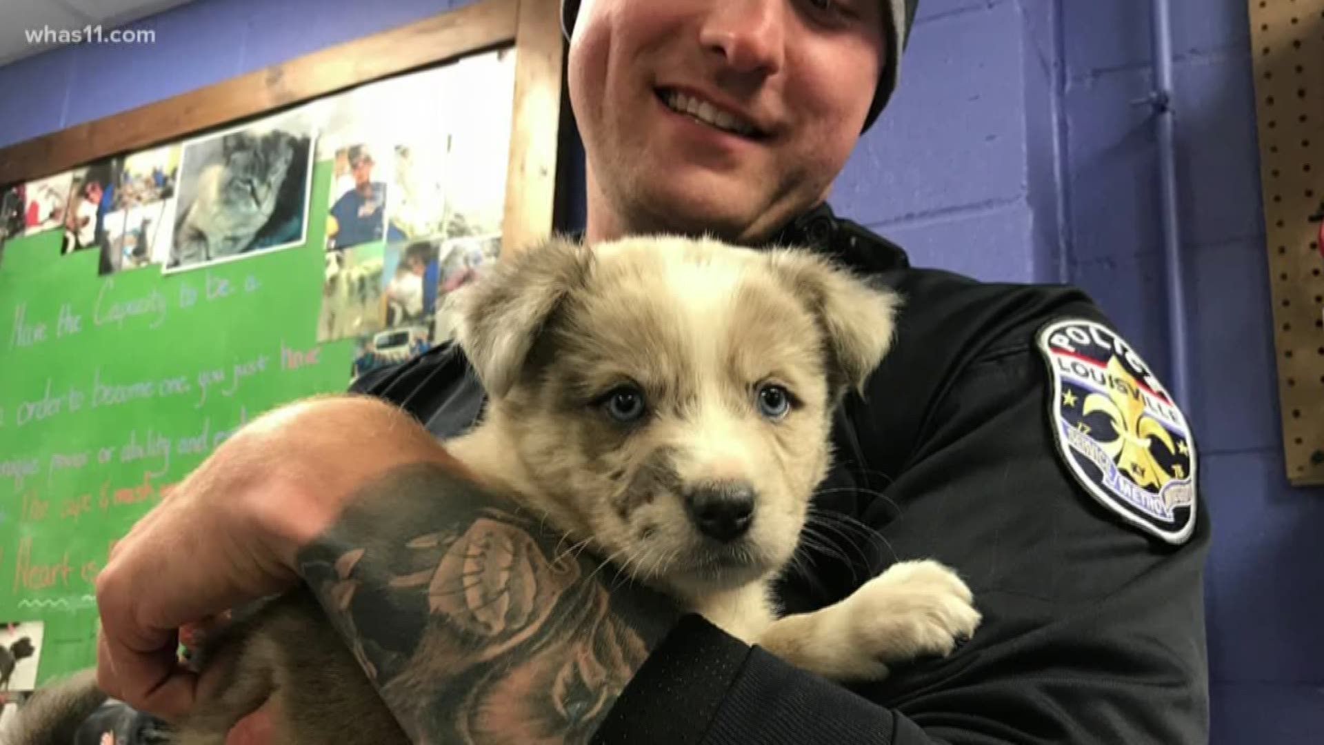 LMPD officer adopts rescue puppy
