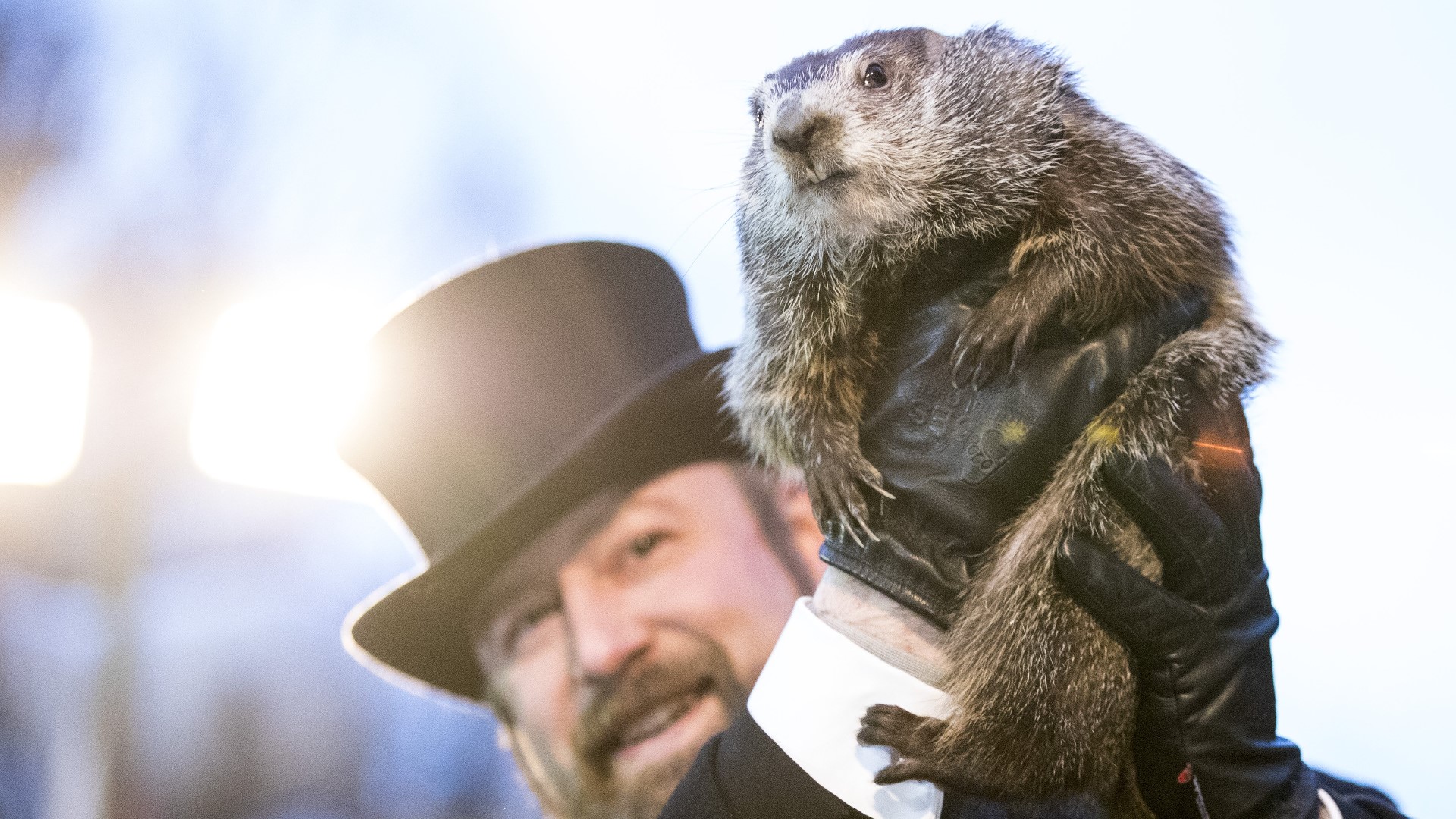 Punxsutawney Phil emerged from his home Wednesday morning, and let the world know they can expect six more weeks of winter!