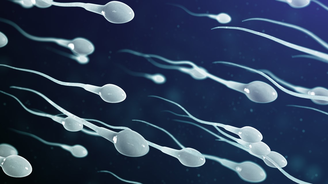 Male fertility crisis? Scientist says sperm counts plummeting - Vimarsana News