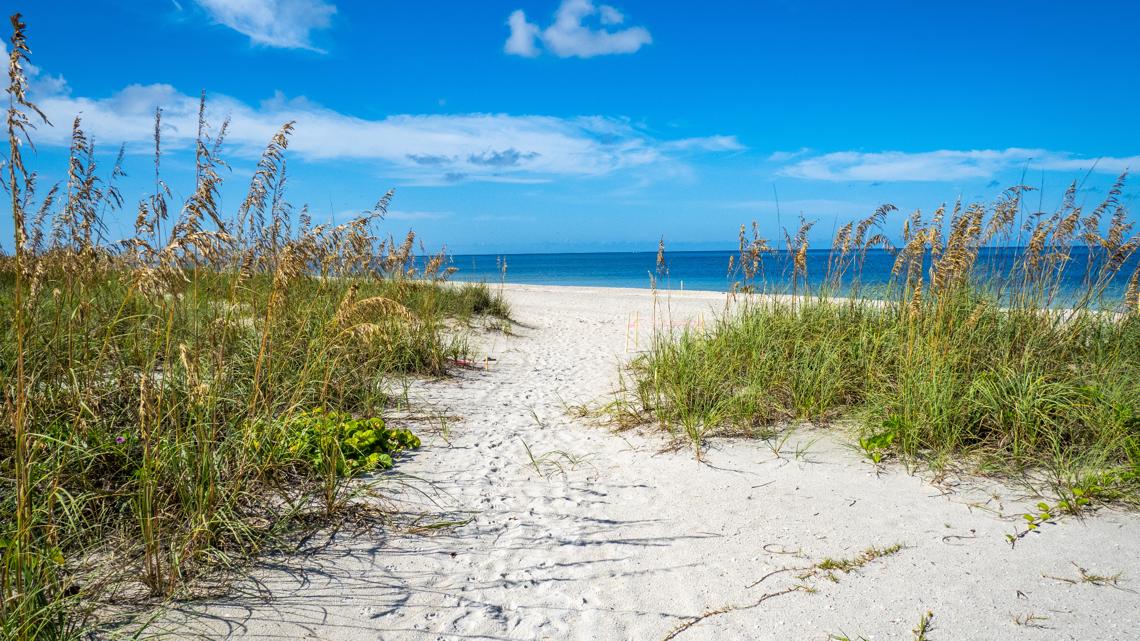 Carolina christmas classic greensboro