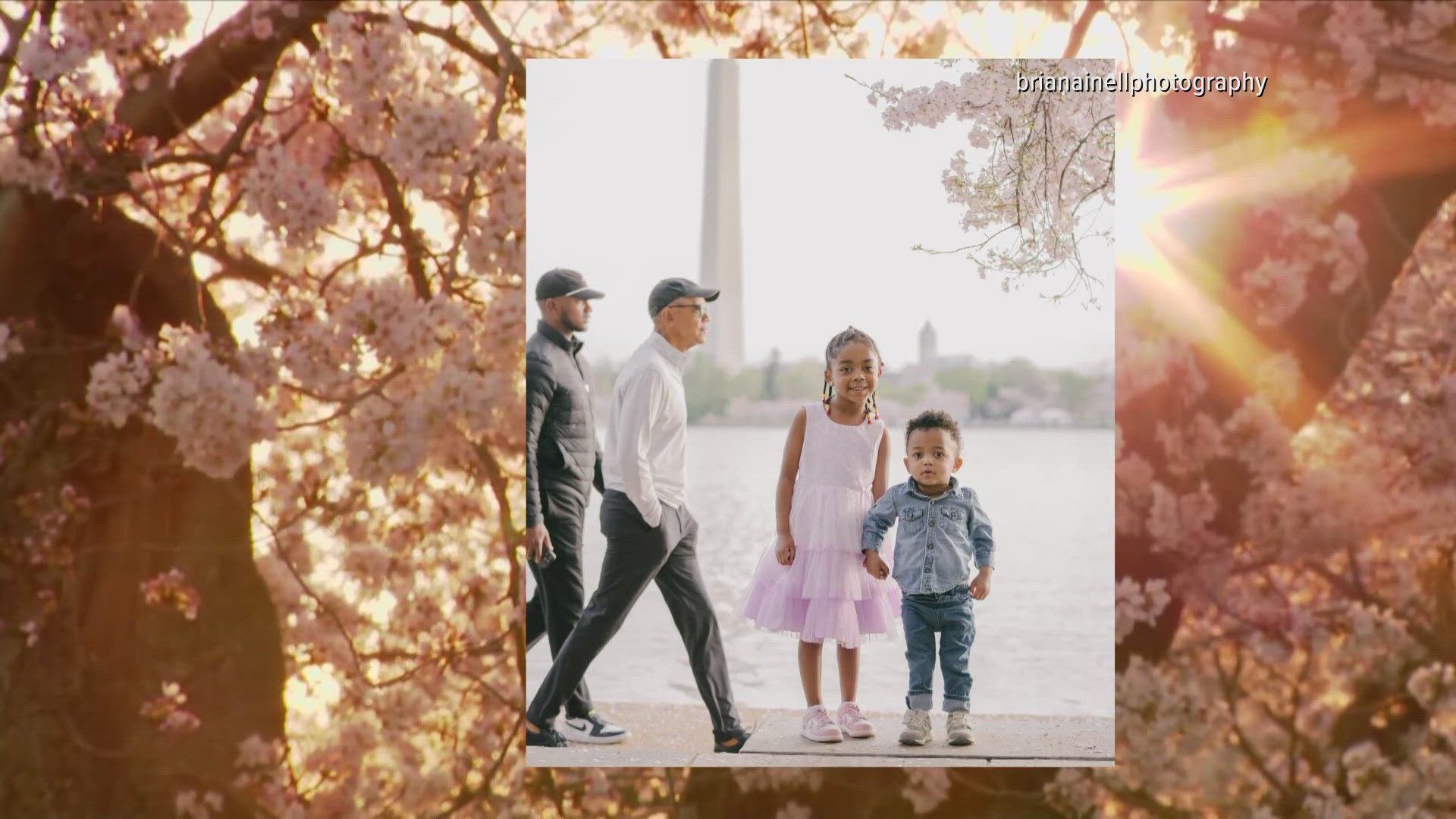 Barack Obama surprises family with cherry blossom photobomb