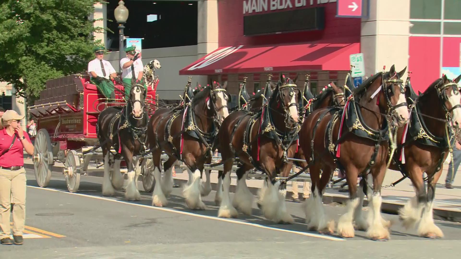 Famous equine icons help celebrate the Fourth of July while also helping raise money for COVID vaccine awareness.