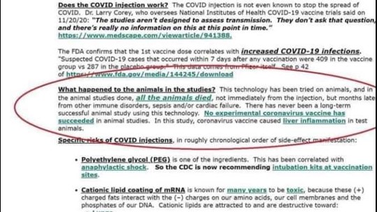 COVID-19 vaccines did not kill the animals in clinical trials | king5.com